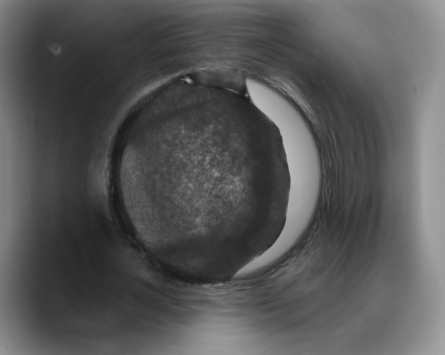 X0000089680724200707201659