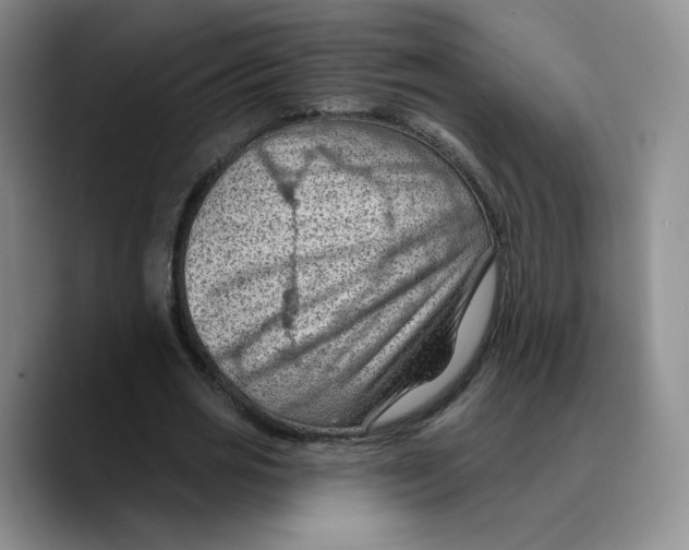 X0000089680725200707201659