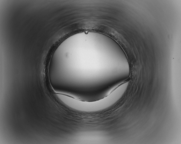 X0000089680727200707201659