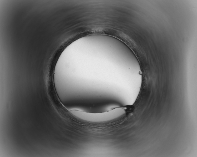 X0000089680728200707201659