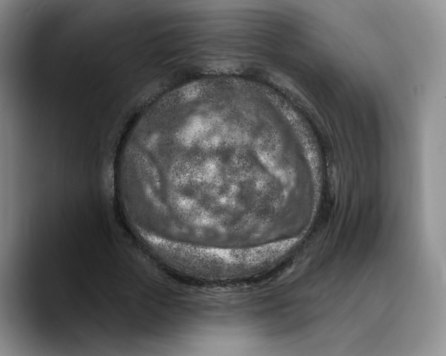X0000089680729200707201659