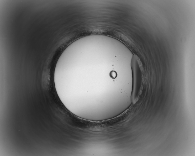 X0000089680731200707201659