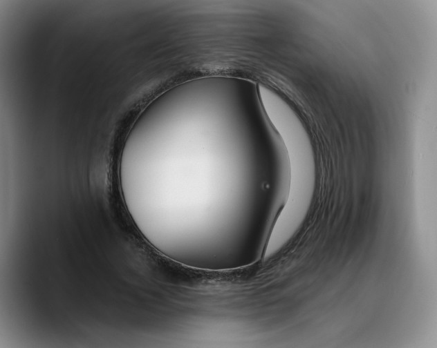 X0000089680732200707201659