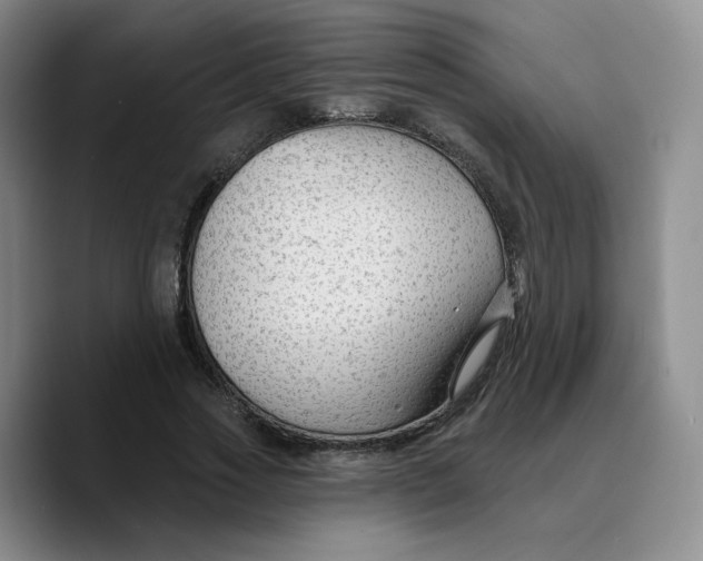 X0000089680733200707201659