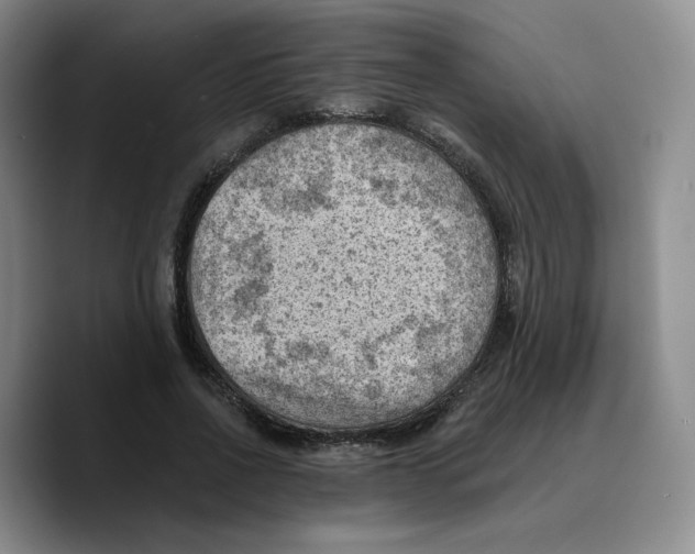 X0000089680734200707201659
