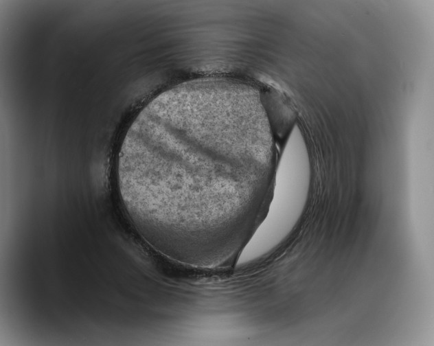 X0000089680735200707201659