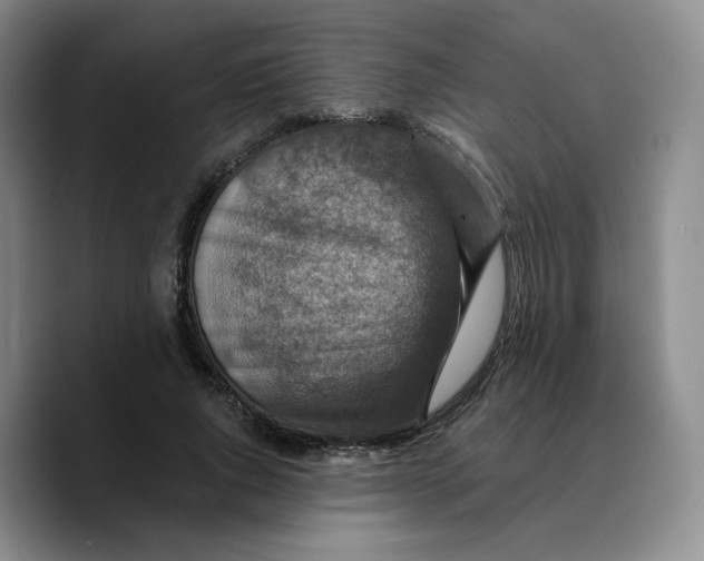 X0000089680736200707201659
