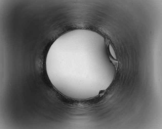 X0000089680739200707201659