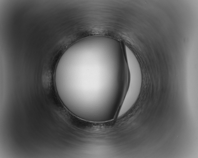 X0000089680744200707201659