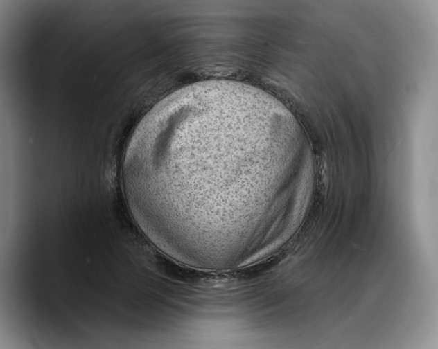 X0000089680745200707201659