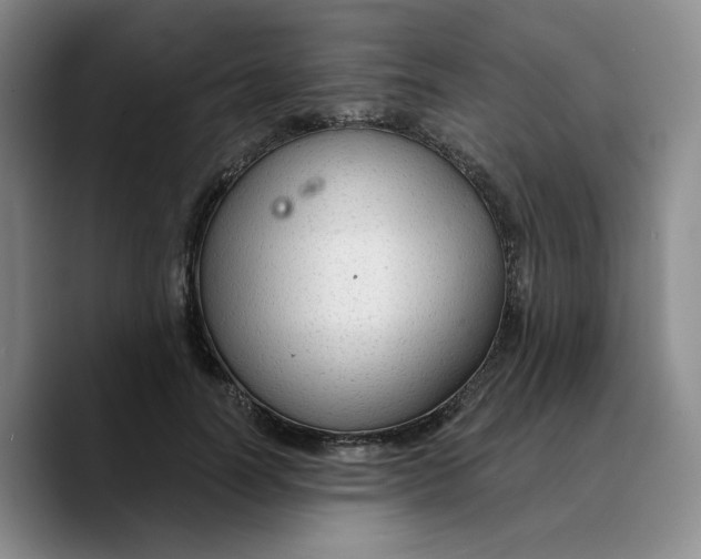 X0000089680746200707201659