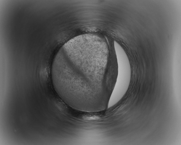 X0000089680747200707201659