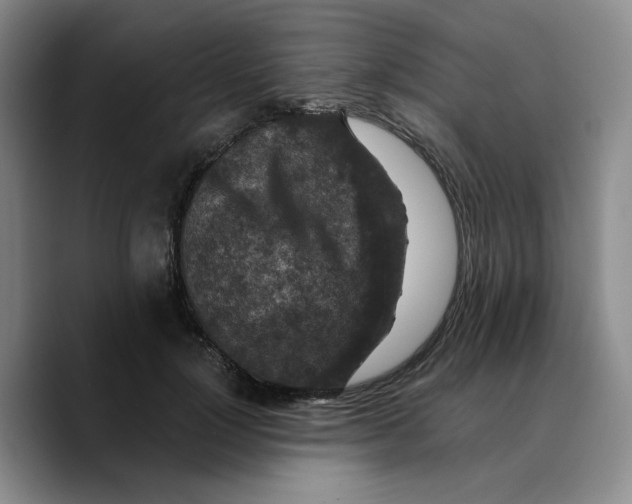 X0000089680748200707201659