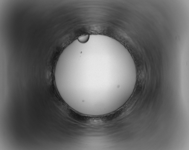 X0000089680749200707201659