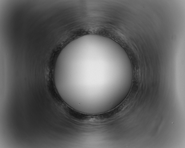 X0000089680750200707201659