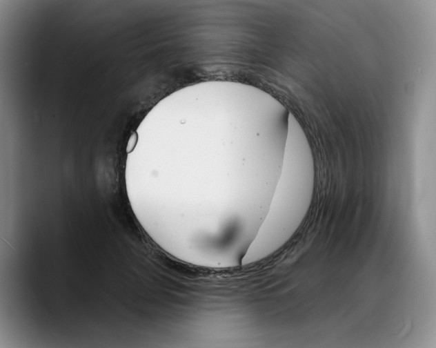 X0000089680751200707201659