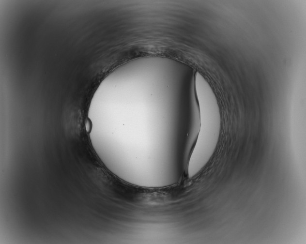 X0000089680752200707201659