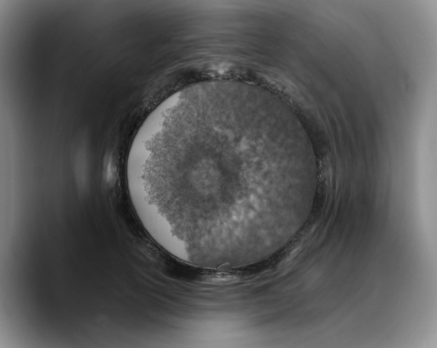 X0000089680754200707201659