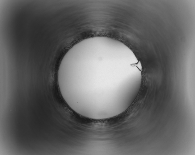 X0000089680756200707201659