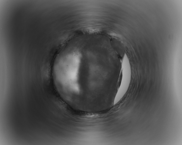 X0000089680760200707201700