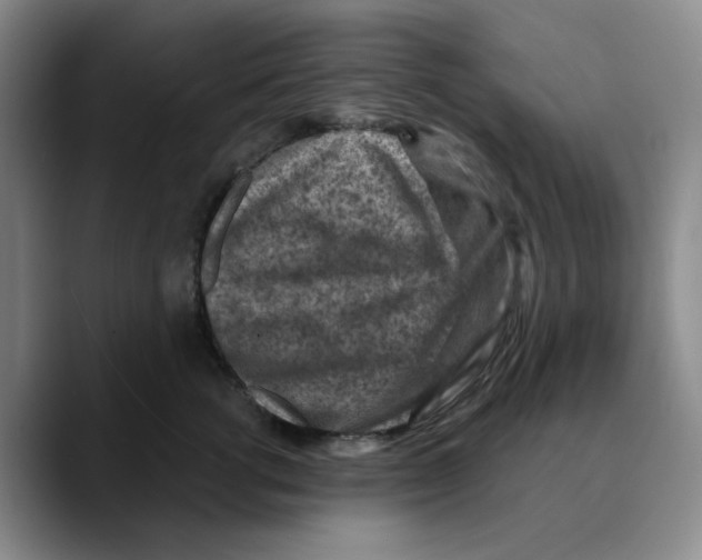 X0000089680762200707201700