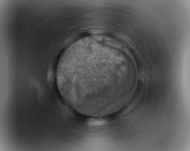 X0000089680763200707201700