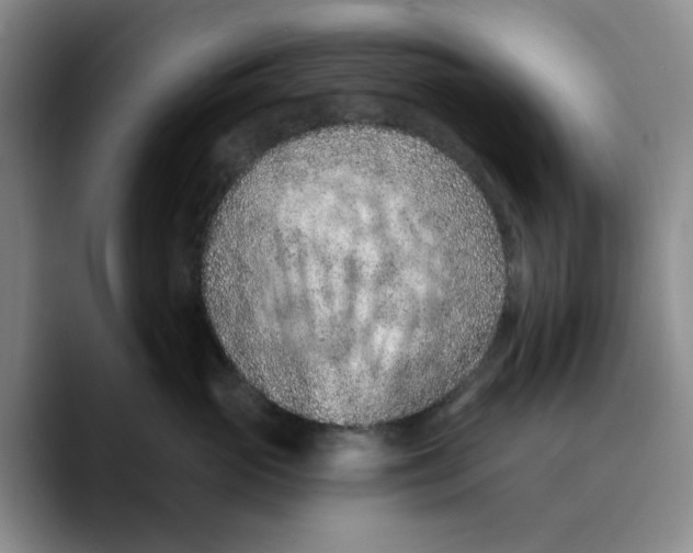 X0000089680765200707201700
