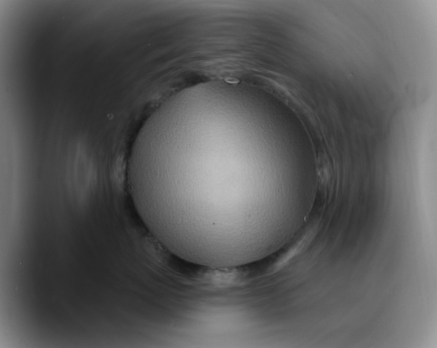 X0000089680767200707201700