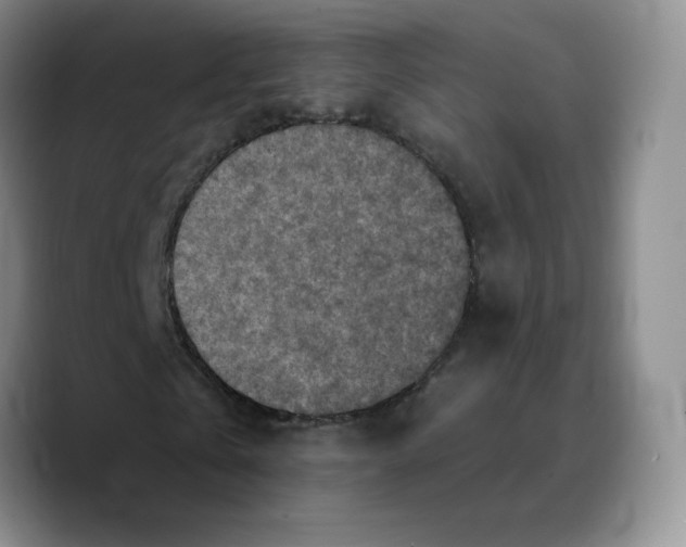 X0000089680769200707201659