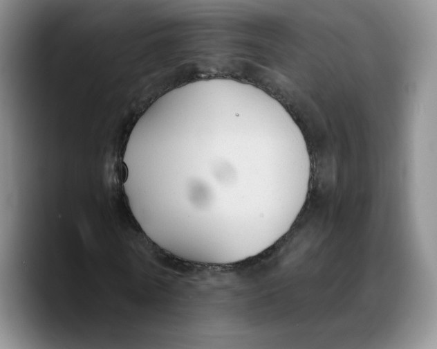 X0000089680770200707201659