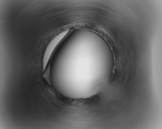 X0000089680773200707201659