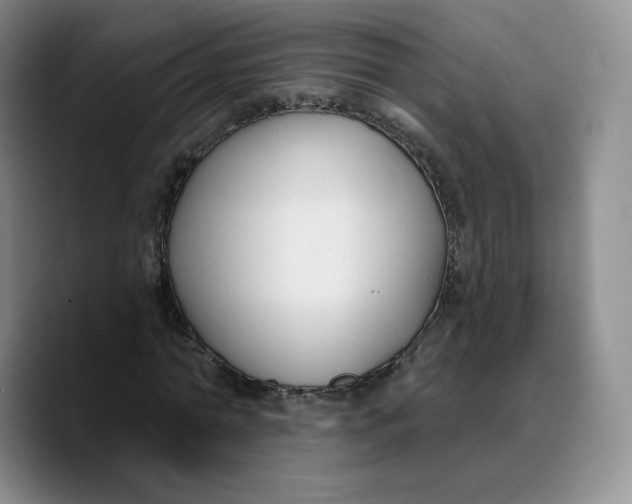X0000089680774200707201659