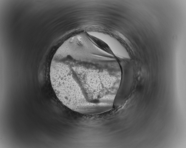 X0000089680775200707201659