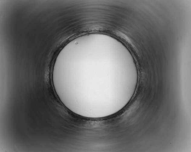 X0000089680778200707201659