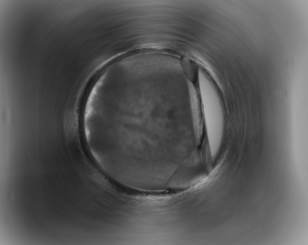 X0000089680779200707201659