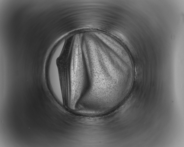 X0000089680780200707201659