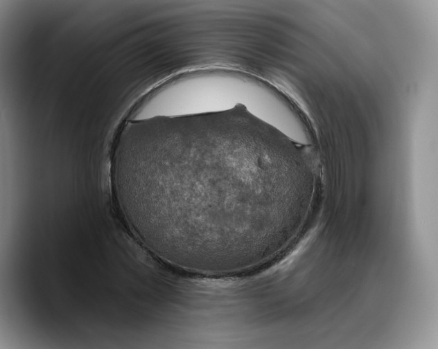X0000089680781200707201659