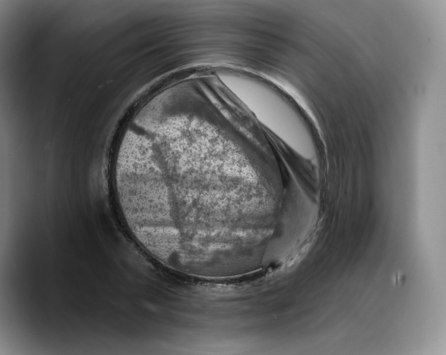 X0000089680783200707201659