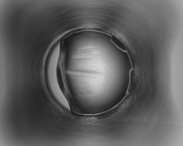 X0000089680784200707201659