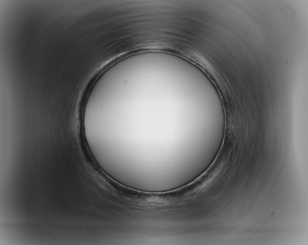 X0000089680787200707201659