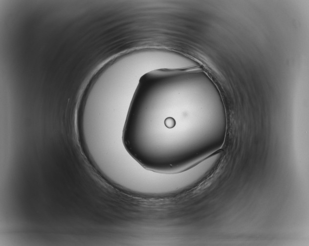 X0000089680788200707201659