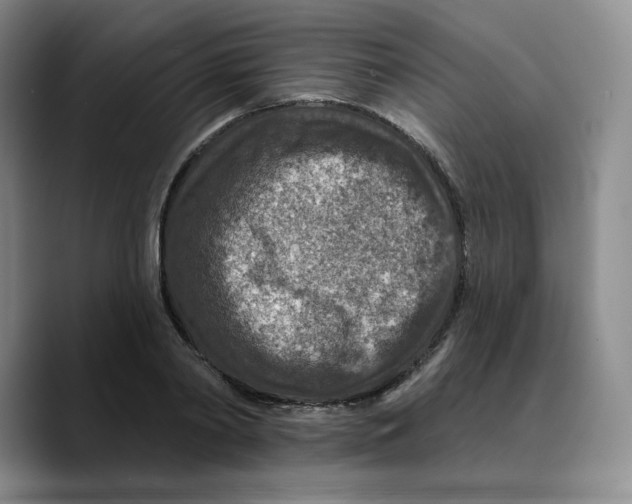 X0000089680790200707201659