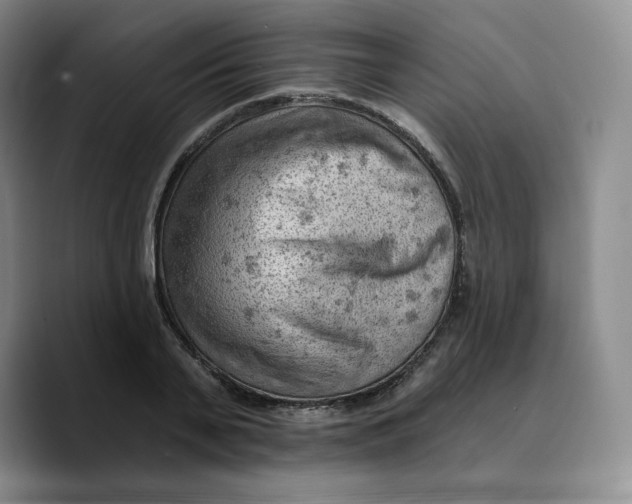 X0000089680791200707201659
