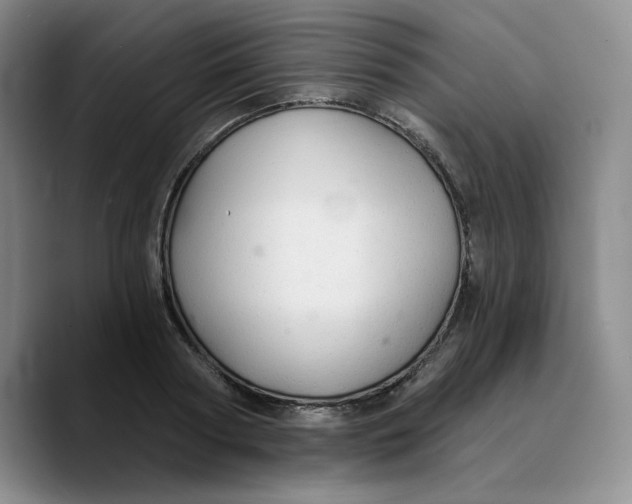 X0000089680794200707201659