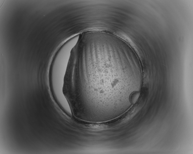 X0000089680795200707201659
