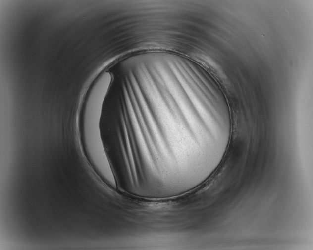 X0000089680796200707201659