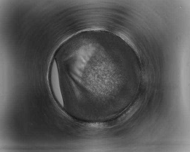 X0000089680797200707201659