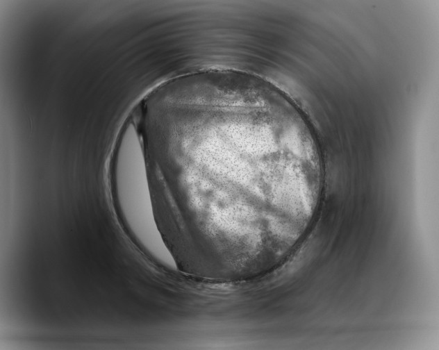 X0000089680798200707201659
