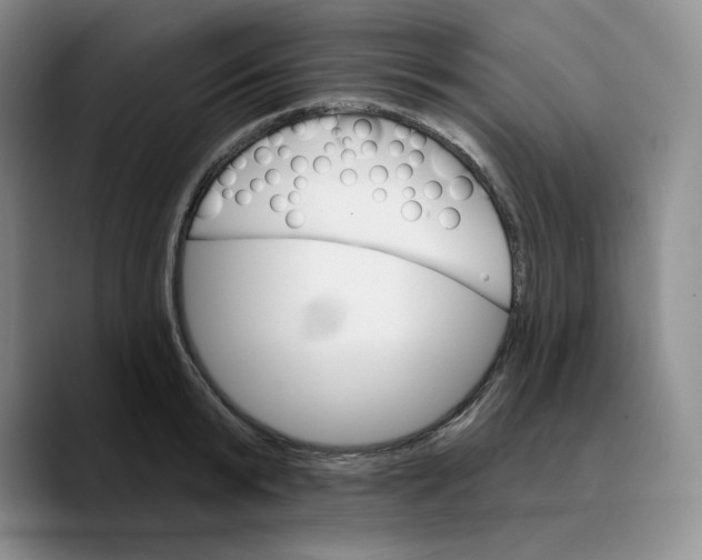 X0000089680799200707201659