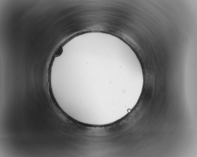 X0000089680800200707201659